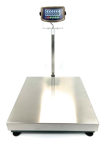 US-WM2424SS Weigh Master Stainless Steel Scale (400 lb x .005 lb) in Saudi Arabia