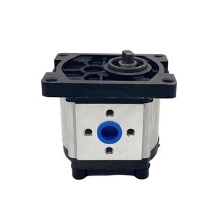 Hydraulic Gear Pump CBN-G304/G306/G310/G314 /G316/G320/G325 Oil Pump-R Flat Key Shaft)(Cbn-g310(25mpa)-l,Oblate Shaft) in Kuwait