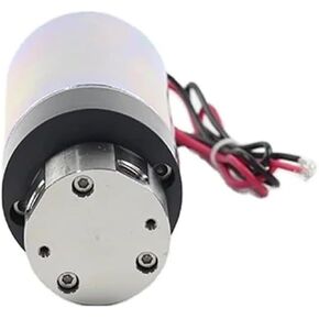 Sewage/Effluent Pumps DC 24V Electric Magnetic Drive High Pressure 5Bar Stainless Steel Gear Pump KGP-308XP 100C 3000CPS Beverage Vending(Kgp-308xp,24V) in Saudi Arabia