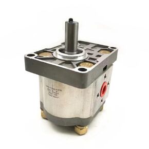 Hydraulic Gear Pump CBN Oil Pumps CBN-F304-FPR CBN-F304-FPL CBN-F306-FPR CBN-F306-FPL CBN-F308-FPR CNB-F308-FPL(CBN-F310-FPR) in Kuwait