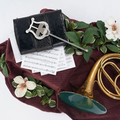 Vaguelly French Horn Lyre Music Sheet Holder Stand French Horn Lyre Sheet Music Holder, French Horn Marching Lyre Clamp- on Vertical Music Sheet Clip for French Horn in Saudi Arabia