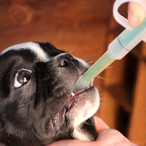 Pet Piller Guns Dog Pill Shooters Cat Tablet Soft Tip Syringes Professional Medical Syringes Plastic Non-Sterile 1 Count in Saudi Arabia