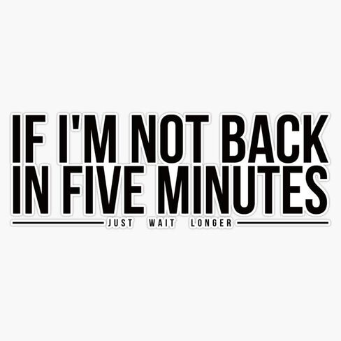 Ace Ventura: Pet Detective - If I'm Not Back in Five Minutes, Just Wait Longer Sticker Decal Vinyl Bumper Stickers Waterproof 5" in Saudi Arabia