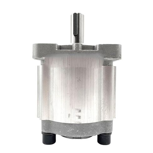 Hydraulic Gear Pump CBN Series Truck Tail Plate Forklift Special Pump high-Pressure Gear Hydraulic Oil(Cbn-f306,Even Shaft) in Kuwait