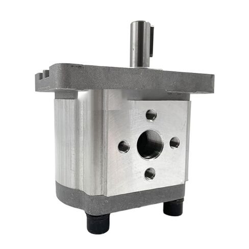 Hydraulic Gear Pump CBN Series Truck Tail Plate Forklift Special Pump high-Pressure Gear Hydraulic Oil(Cbn-f306,Even Shaft) in Kuwait