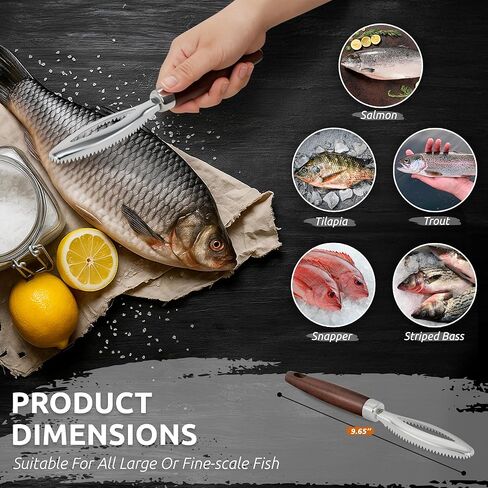 Dugato Fish Scale Remover Tool with Wooden Handle – Stainless Steel Fish Scaler Scraper for Quick & Easy Fish Cleaning – Rustproof Serrated Edge Seafood Descaling Tool for Kitchen & Outdoor Use in Kuwait