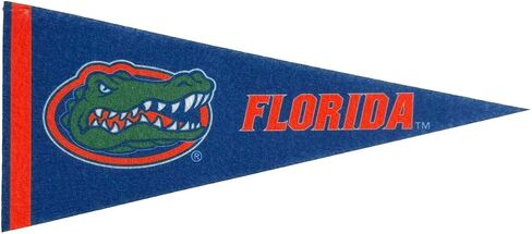 Gators Felt Mini Pennant - Size: 4" x 9" - Officially Licensed - 1 Pennant Per Pack in Saudi Arabia