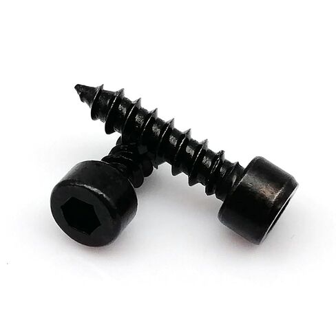 M5 10/12/14-50mm 304 Stainless Steel Black Carbon Steel Allen Hexagon Socket Cap Head Wood Screw 10Pcs(304 SS,10MM_10PCS M5) in Saudi Arabia