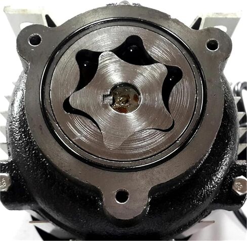 Sewage/Effluent Pumps 220V 750W Electrical Self-Priming Gear Oil/Diesel Oil Transport Pump Filling Machine 40L in Kuwait