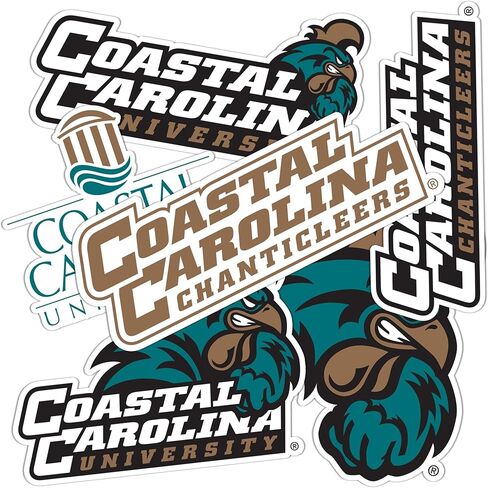 ملصق جامعة كاليفورنيا الساحلية على شكل صبار الصحراء Chanticleers CCU شارات الفينيل زجاجة مياه للكمبيوتر المحمول للسيارة T2 (النوع 2-2) in Saudi Arabia