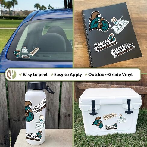 ملصق جامعة كاليفورنيا الساحلية على شكل صبار الصحراء Chanticleers CCU شارات الفينيل زجاجة مياه للكمبيوتر المحمول للسيارة T2 (النوع 2-2) in Saudi Arabia