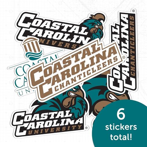 ملصق جامعة كاليفورنيا الساحلية على شكل صبار الصحراء Chanticleers CCU شارات الفينيل زجاجة مياه للكمبيوتر المحمول للسيارة T2 (النوع 2-2) in Saudi Arabia