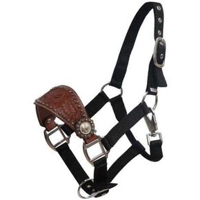 Showman Pony Floral Tooled Nylon Bronc Nose Halter in Kuwait