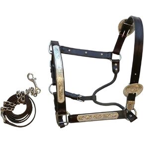 Full Size Horse Leather Western Show Halter with intricately Engraved Silver Bars and Matching Leather Lead Chain in Kuwait