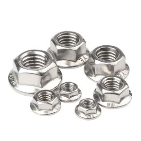 304 الفولاذ المقاوم للصدأ طقطقة قفل أوتوماتيكي صامولة مسننة سبينلوك (M8 × 10 قطعة) in Kuwait