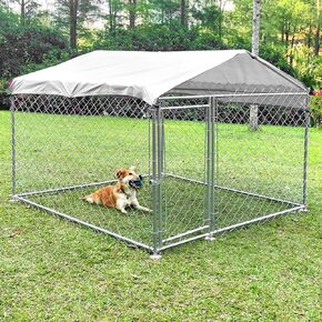بيت للكلاب في الهواء الطلق، قفص كبير للكلاب شديد التحمل، روضة للكلاب مع سقف مقاوم للماء للأشعة فوق البنفسجية وقفل آمن، سياج للكلاب من الصلب المجلفن للفناء الخلفي في الهواء الطلق (10 × 10 × 5.6 بوصة) in Kuwait