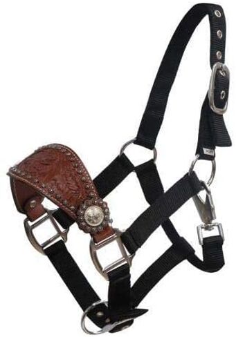 Showman Pony Floral Tooled Nylon Bronc Nose Halter in Kuwait