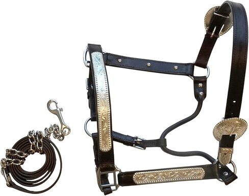 Full Size Horse Leather Western Show Halter with intricately Engraved Silver Bars and Matching Leather Lead Chain in Kuwait