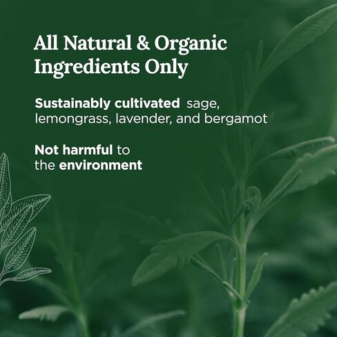 Magnificent 101 Mercury Retrograde Chakra Aromatherapy Candles - 3-Pack (3 x 3.5 Oz) Black - 42-Hour Burn, 100% Soy Wax - Smoke Remover & Manifestation Candle in Kuwait