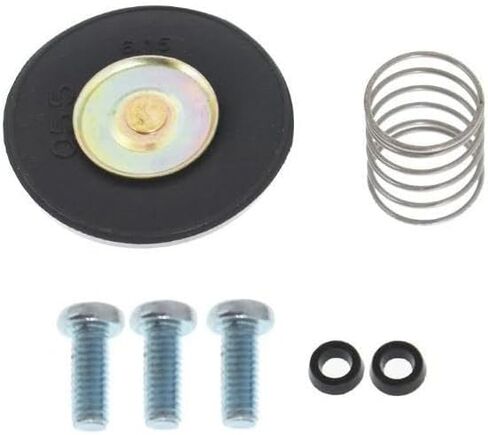 ACTIVLIFE for Part # 24 757 08-S Fit for Kohler KIT, DIAPHRAM Repair CH18,CH20,CH22,CH25,CH620 in Kuwait