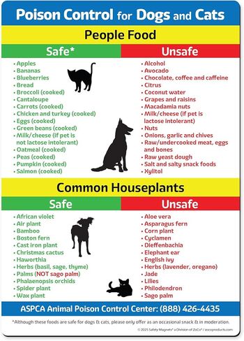 Safety Magnets by ZOCO – Safe & Toxic Foods and Plants for Dogs & Cats – 5"x7" Pet Safety Reference Magnet for Fridge – Dog & Cat Awareness Chart for Owners & Sitters in Saudi Arabia