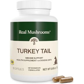 Real Mushrooms Turkey Tail with Qrill Pet - Turkey Tail Mushroom for Dogs with Krill Meal for Dogs and Cats - Beta-Glucan Rich Mushroom Extracts Immune & Gut Support for Puppies and Kittens, 75g in Kuwait