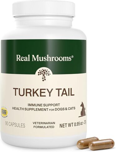 Real Mushrooms Turkey Tail with Qrill Pet - Turkey Tail Mushroom for Dogs with Krill Meal for Dogs and Cats - Beta-Glucan Rich Mushroom Extracts Immune & Gut Support for Puppies and Kittens, 75g in Kuwait
