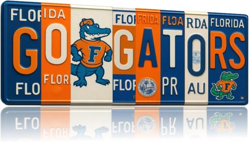 علامة لوحة ترخيص Florida Gators Go Gators - لوحة فنية جدارية معدنية مقاس 16 × 6 بوصة من الألومنيوم - برتقالي أزرق - ديكور غرفة النوم في كهف مروحة SEC UF - مقاومة للأشعة فوق البنفسجية جاهزة للتعليق على جدار الكلية in Saudi Arabia