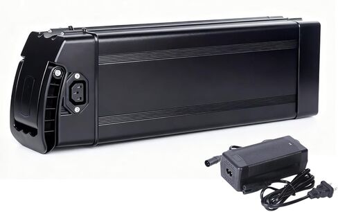 48V Ebike Battery, 10Ah 13Ah 20Ah Folding E-Bike Lithium Batteries with 30A BMS for 100W-1000W Motor (48V 10AH) in Saudi Arabia