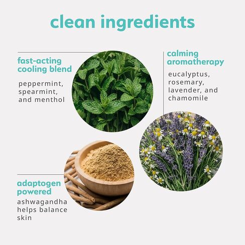 plusOne Chill Cooling Roll-On – Instant Hot Flash Support with Peppermint, Menthol & Ashwagandha – Aromatherapy Essential Oil Blend for Stress & Cooling Refreshment - 0.33 fl oz in Kuwait