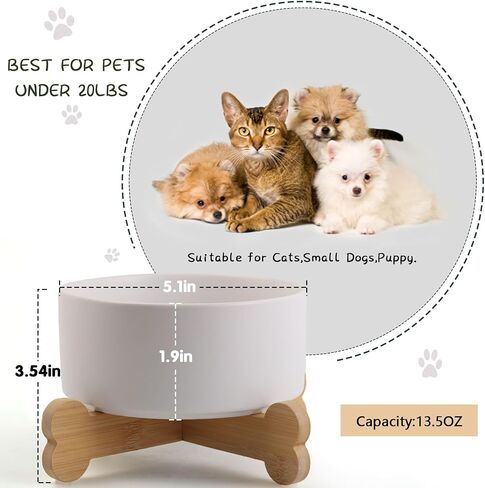Petygooing Raised/Elevated White Ceramic Dog Cat Bowl with Stand for Small Size Breed,Non-Slip Pet Dish Set for Food Water Feeder for Cats & Puppy Dogs (13.5OZ/5.1 in) in Saudi Arabia