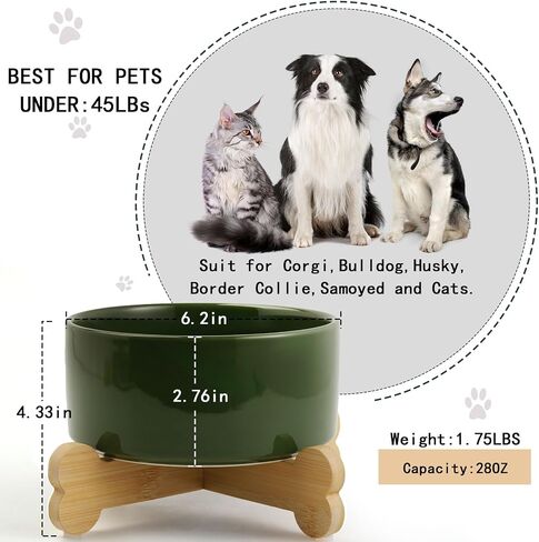 Petygooing Raised/Elevated White Ceramic Dog Cat Bowl with Stand for Small Size Breed,Non-Slip Pet Dish Set for Food Water Feeder for Cats & Puppy Dogs (13.5OZ/5.1 in) in Saudi Arabia