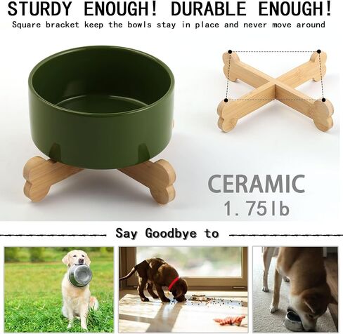 Petygooing Raised/Elevated White Ceramic Dog Cat Bowl with Stand for Small Size Breed,Non-Slip Pet Dish Set for Food Water Feeder for Cats & Puppy Dogs (13.5OZ/5.1 in) in Saudi Arabia