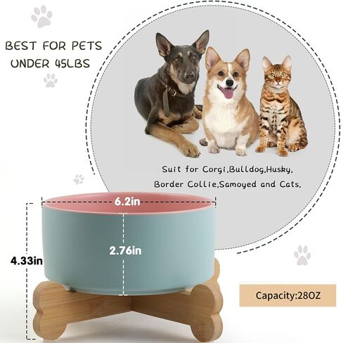 Petygooing Raised/Elevated White Ceramic Dog Cat Bowl with Stand for Small Size Breed,Non-Slip Pet Dish Set for Food Water Feeder for Cats & Puppy Dogs (13.5OZ/5.1 in) in Saudi Arabia