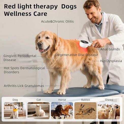 Handheld Red Light Therapy Device with Pulse Mode, 3 Wavelengths Infrared & Near Infrared Light Therapy for Body, Knee, Shoulder, Back, Joints & Muscles, 5 Core Modes, Safe for Humans and Pets in Saudi Arabia