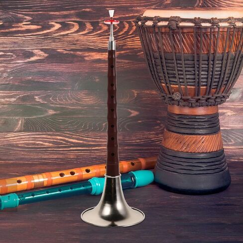 Homoyoyo Suona Plastic Wind Instrument Suona Starter Kit Lightweight Abs Resin Ethnic Wind Instrument for Beginners Music Practice Silver in Saudi Arabia