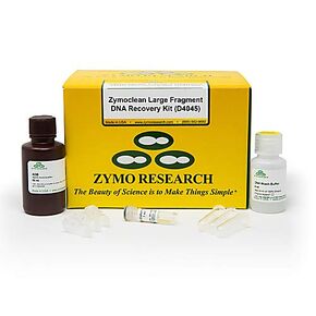 Zymoclean Large Fragment DNA Recovery Kit, 100 Preps in Kuwait