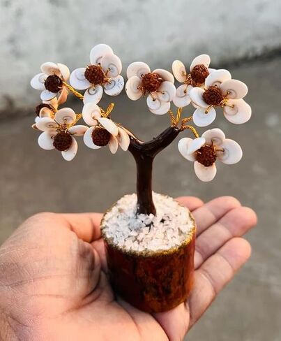 Gomti Chakra Crytal Tree Chakra العلاج الطبيعي الأحجار الكريمة كريستال بونساي شجرة المال الحظ لحسن الحظ والثروة والازدهار ديكور المنزل والمطبخ هدية روحية (Gomti Chakra 60 خرزة)، 9-12 بوصة in Kuwait