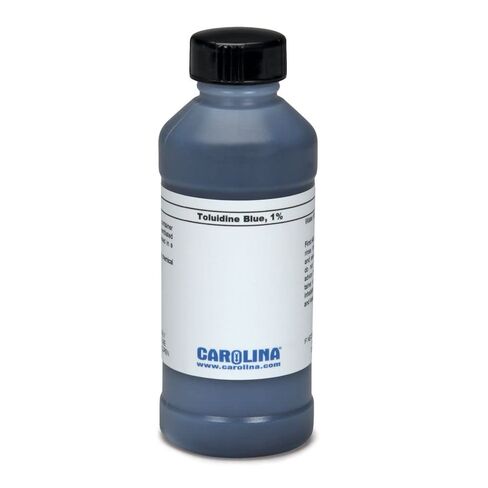 Toluidine Blue O, 1% Aqueous, Laboratory Grade, 100 mL in Saudi Arabia