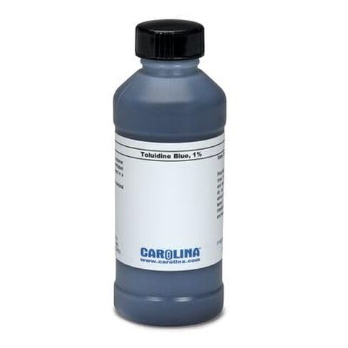 Toluidine Blue O, 1% Aqueous, Laboratory Grade, 100 mL in Saudi Arabia