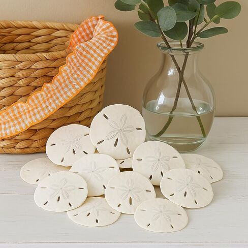 Heyiwell 50 PC Natural White Sand Dollars for Wedding Seashell Craft 0.75" ~ 1" Inch in Saudi Arabia