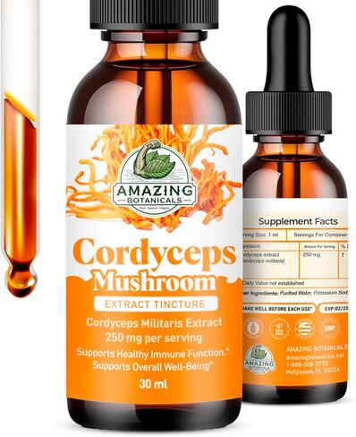 صبغة الجسم المثمرة من فطر كورديسيبس - 250 مجم لكل حصة - مكمل سائل ثنائي المستخلص - دعم الطاقة والقدرة على التحمل - نباتي، غير معدّل وراثيًا، صنع في الولايات المتحدة الأمريكية، قطرات خالية من السكر والكحول - 1 أونصة/30 مل in Kuwait