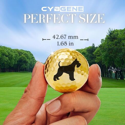 هدايا شناوزر للرجال والنساء، مجموعة كرات جولف شناوزر مكونة من 3 قطع، ملحقات رائعة للاعبي الجولف، لمحبي الجولف in Kuwait