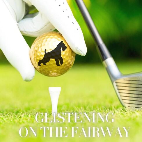 هدايا شناوزر للرجال والنساء، مجموعة كرات جولف شناوزر مكونة من 3 قطع، ملحقات رائعة للاعبي الجولف، لمحبي الجولف in Kuwait