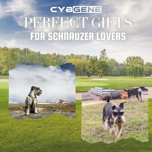 هدايا شناوزر للرجال والنساء، مجموعة كرات جولف شناوزر مكونة من 3 قطع، ملحقات رائعة للاعبي الجولف، لمحبي الجولف in Kuwait