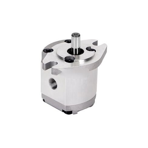 Hydraulic Gear Pump HGP-1A High Pressure Gear Pump Hydraulic Small Oil delivery(HGP-1A-F0.8L) in Kuwait