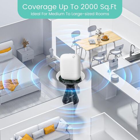 2025 ترقية 2000 متر مربع in Kuwait