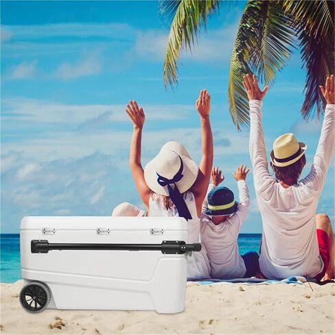مفصلات B08B-Cooler لصناديق الثلج، مبرد بديل من الفولاذ المقاوم للصدأ، قطعة واحدة in Saudi Arabia