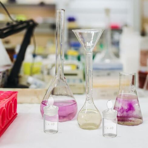 Holibanna 2pcs 25x40mm Glass Weighing Bottles Low Flat Form Borosilicate Specific Gravity Laboratory Chemical Weighing Equipment in Kuwait