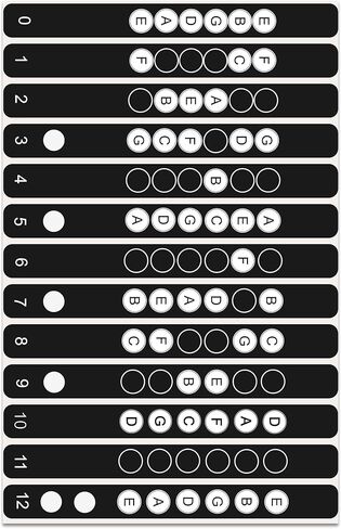Guitar Fretboard Note Stickers – 2 Pack Black & White – Removable, No Residue – Covers First 12 Frets – Easy Learning Labels for Acoustic & Electric Guitar – Made in USA in Saudi Arabia